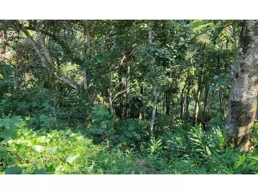 Imagem 3 - Alameda das Quaresmeiras, s/n - Lote 20, Quadra 28, Condomínio Arujá Country Club - Caputera - Arujá / SP