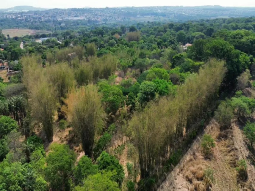 Imagem da oportunidade