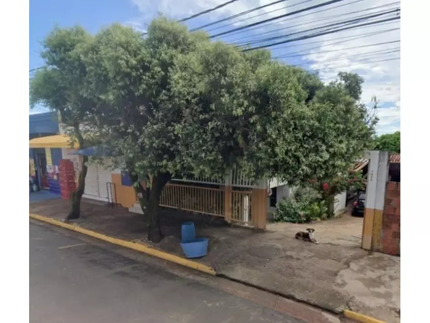 Imagem da oportunidade