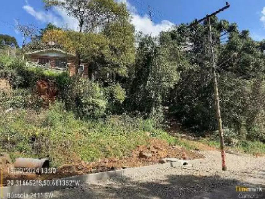 Imagem 3 - Avenida Eletra, s/nº - Parte do lote 10, Quadra 03, Loteamento Vila Eletra - Eletra - São Francisco de Paula / RS