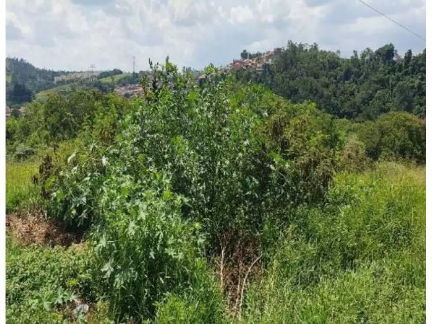 Imagem 5 - Avenida Emílio Jafet Filho, s/nº - Lotes 07-B e 08 - Afonso Zupardo - Itatiba / SP