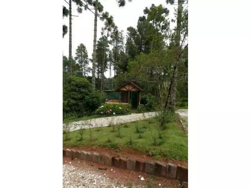 Imagem 14 - Avenida Ernesto Diederichsen, 165 - Lote 01 - Vila Matilde - Campos do Jordão / SP