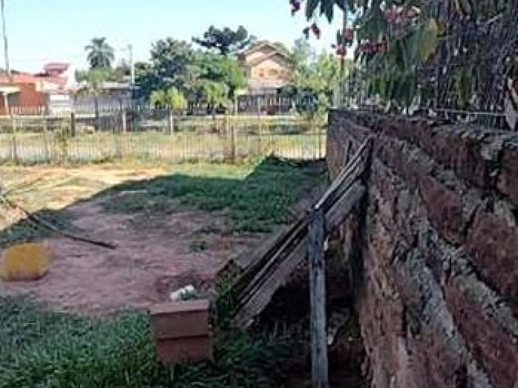 Imagem 12 - Avenida José Joaquim, 830, Vila Esmeralda, Sapucaia do Sul, RS