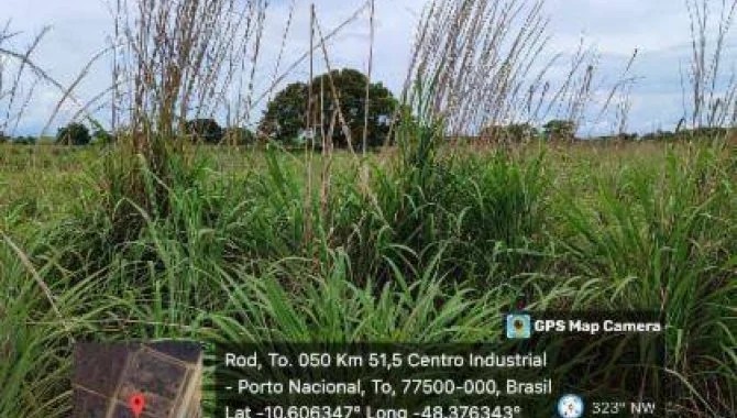 Imagem 4 - Avenida Porto Rico, S/N, Lote 09 Quadra 1 Loteamento - Verdes Empresarial,, Jardim América, Porto Nacional, TO