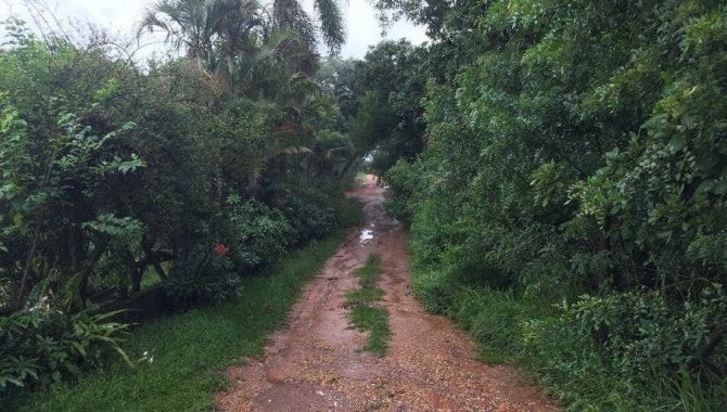 Imagem 147 - Avenida Santa Tereza de Jesus, 280, Caiocara, Jarinu, SP