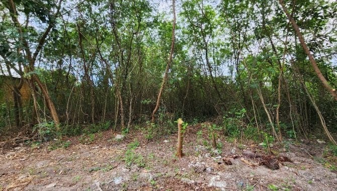 Imagem 3 - Avenida Tim Maia, 7600, Recreio dos Bandeirantes, Rio de Janeiro, RJ