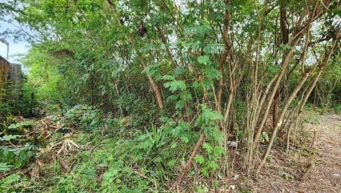 Imagem 4 - Avenida Tim Maia, 7600, Recreio dos Bandeirantes, Rio de Janeiro, RJ