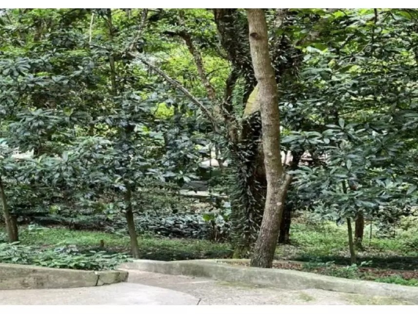 Imagem 7 - Avenida Washington Luís, 1576 - Apartamento 162 - Edifício Acácia - Bloco A do Condomínio Reserva Casa Grande - Santo Amaro - São Paulo / SP