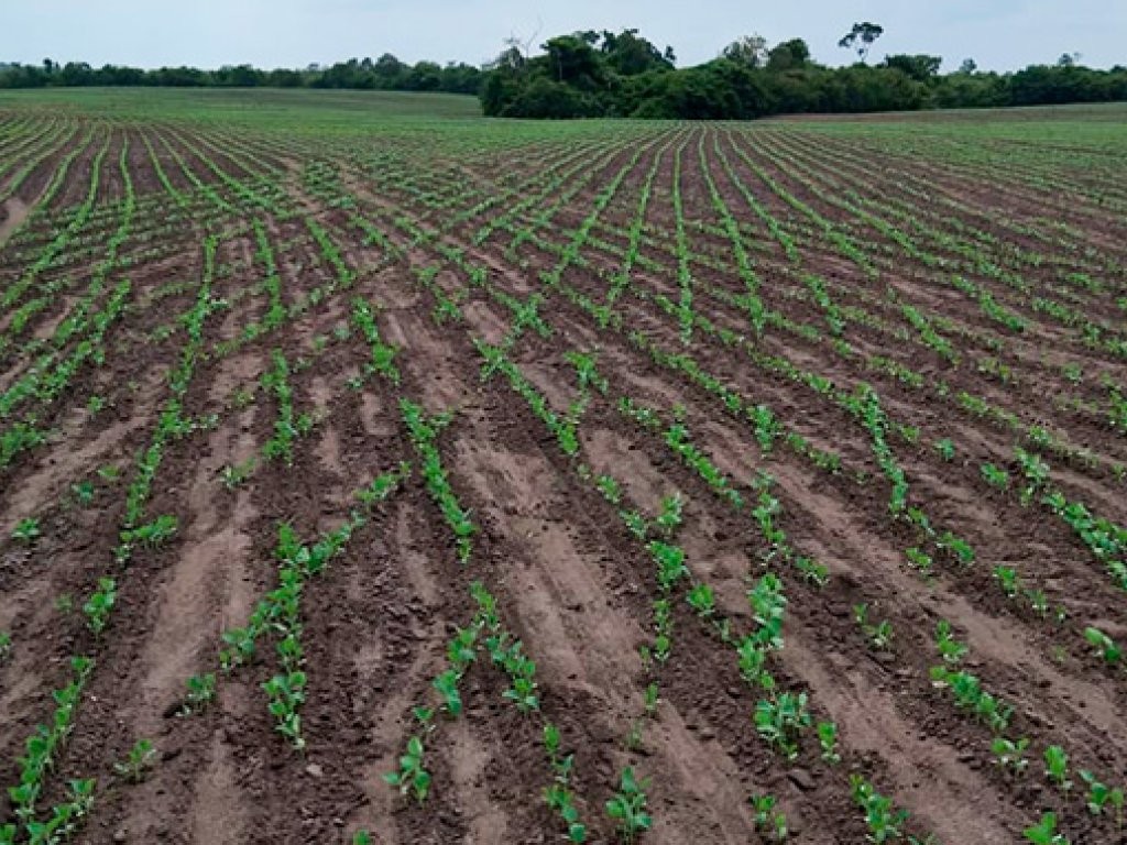 Imagem da oportunidade