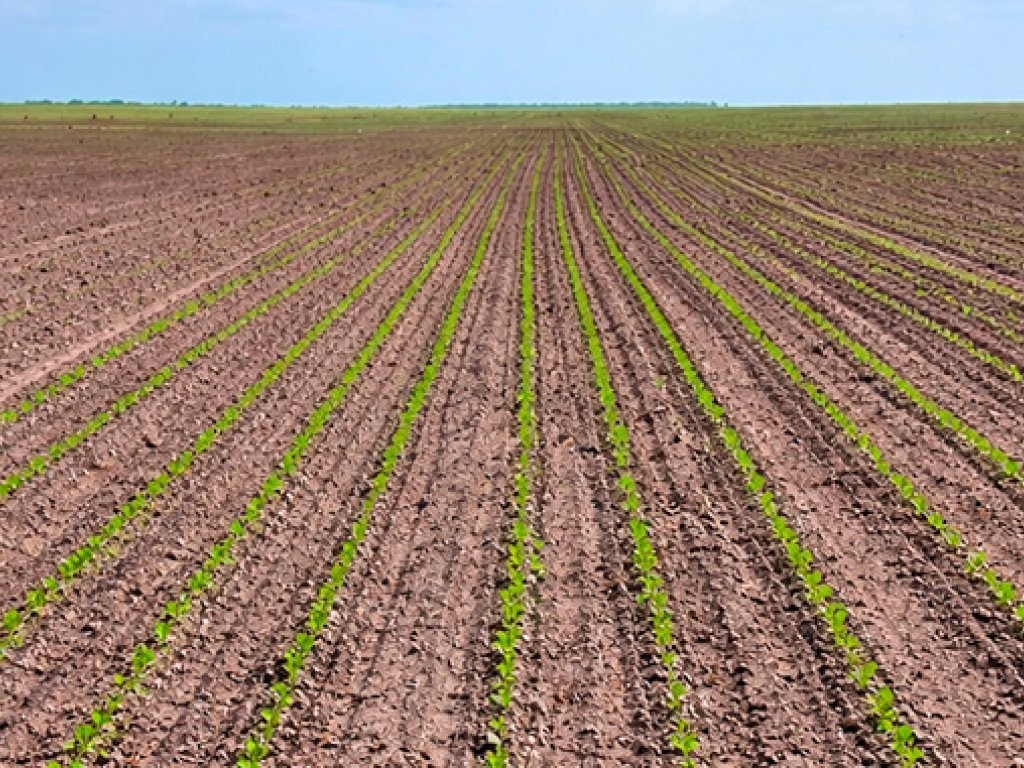 Imagem 3 - Chapadinha, MA