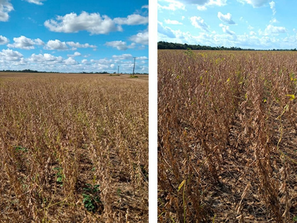 Imagem 5 - Chapadinha, MA