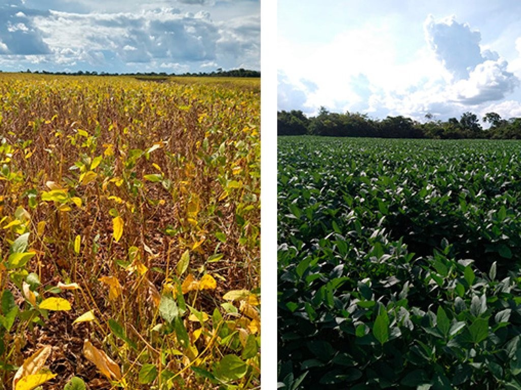 Imagem 6 - Chapadinha, MA