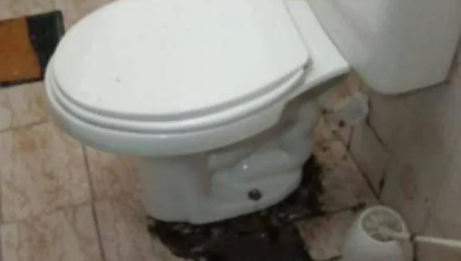 Imagem 5 - Elias Monteiro Cardoso, 99, Vila Clara, São Paulo, SP