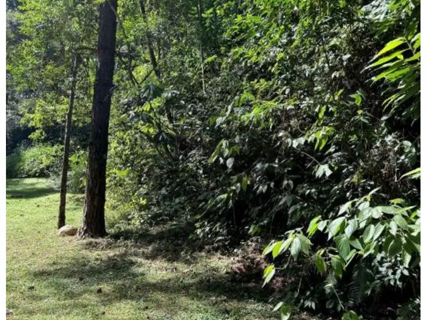 Imagem 3 - Estrada do Itaqui, 120 - Lote D-19, Condomínio Nova São Paulo - Condomínio Nova São Paulo - Itapevi / SP