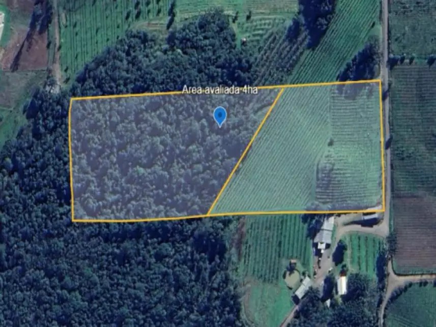 Imagem da oportunidade