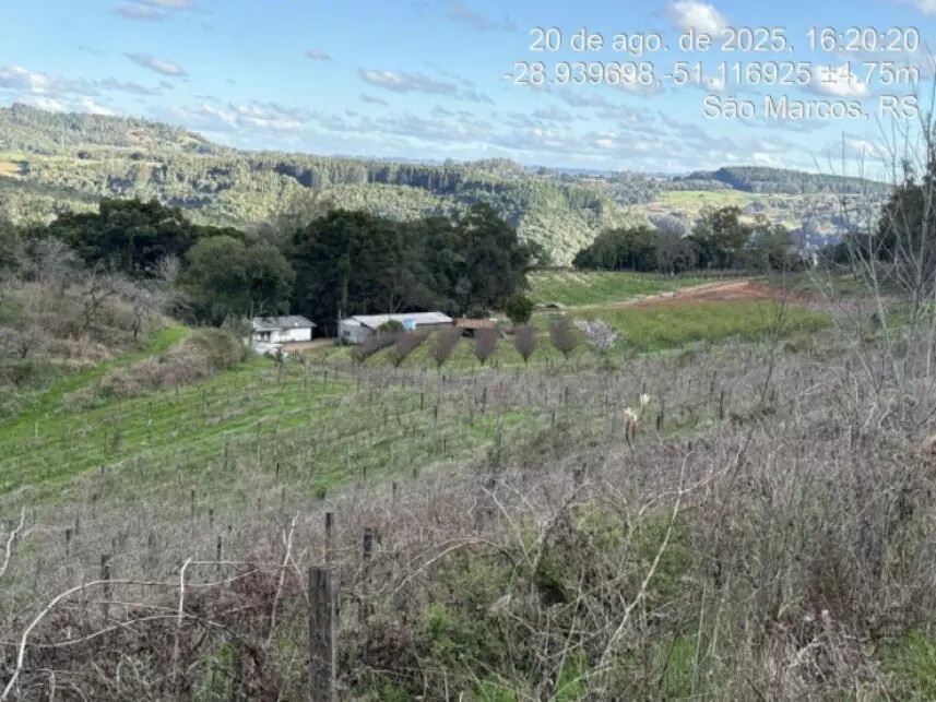 Imagem 3 - Estrada Municipal, 400 - Linha Santana - São Marcos / RS