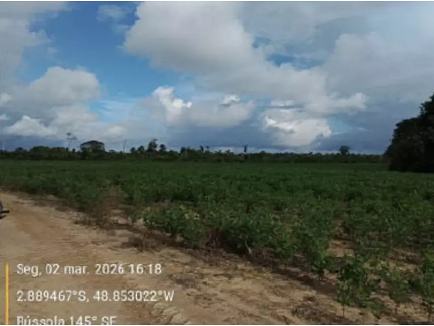 Imagem 4 - Estrada Vicinal da Nove Nova, s/n - Zona Rural - Tailândia / PA