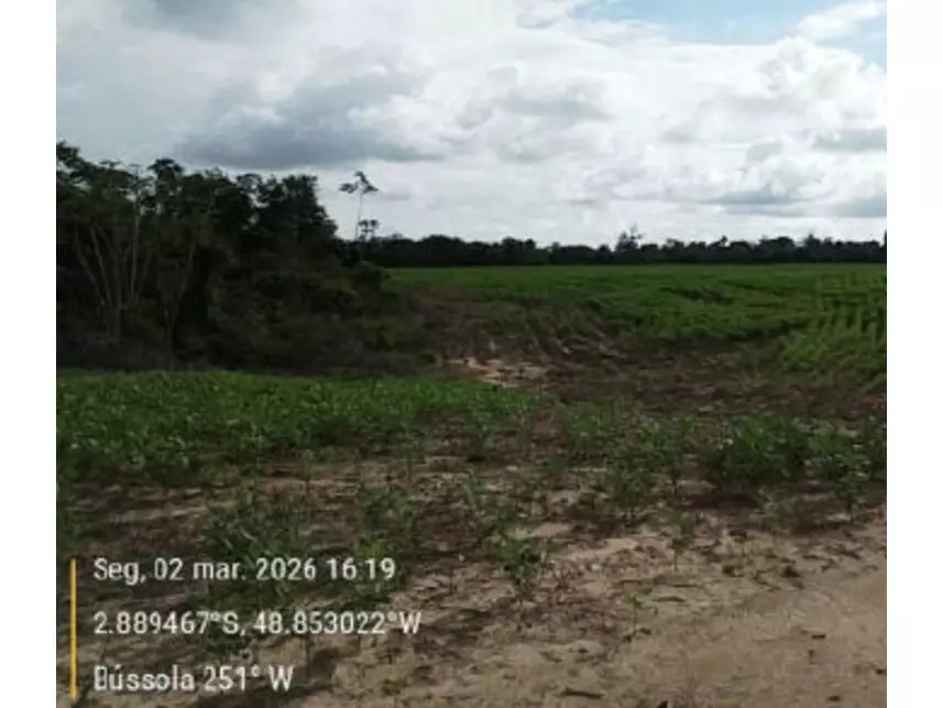 Imagem 5 - Estrada Vicinal da Nove Nova, s/n - Zona Rural - Tailândia / PA