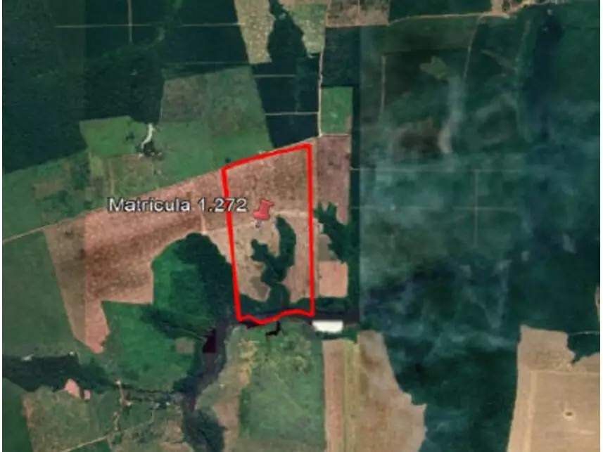 Imagem 7 - Estrada Vicinal da Nove Nova, s/n - Zona Rural - Tailândia / PA