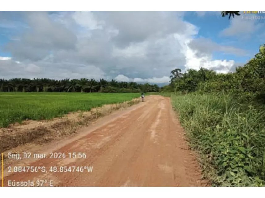 Imagem 10 - Estrada Vicinal da Nove Nova, s/n - Zona Rural - Tailândia / PA