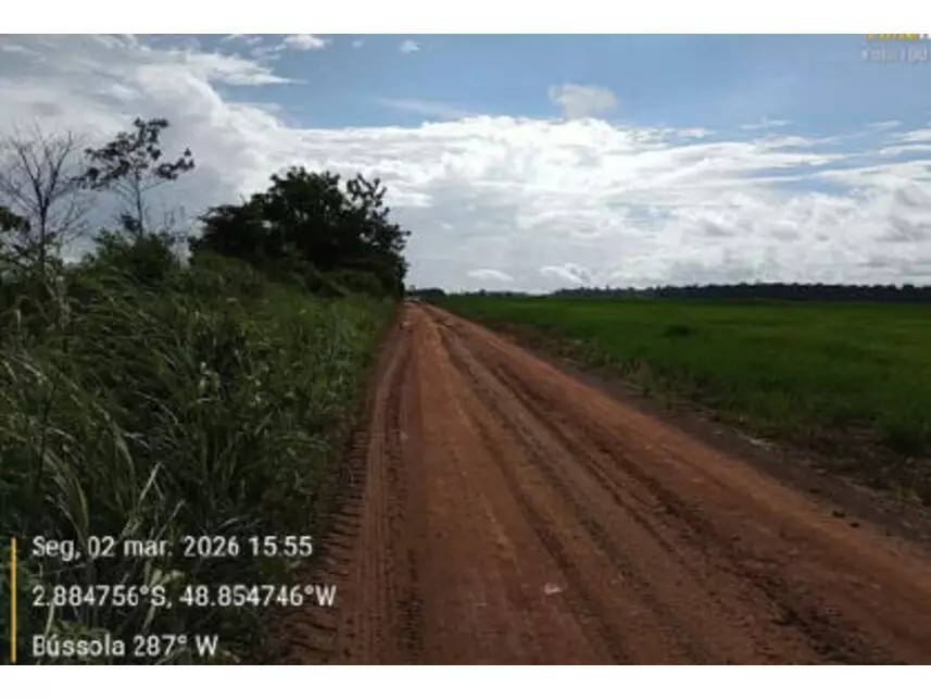 Imagem 11 - Estrada Vicinal da Nove Nova, s/n - Zona Rural - Tailândia / PA