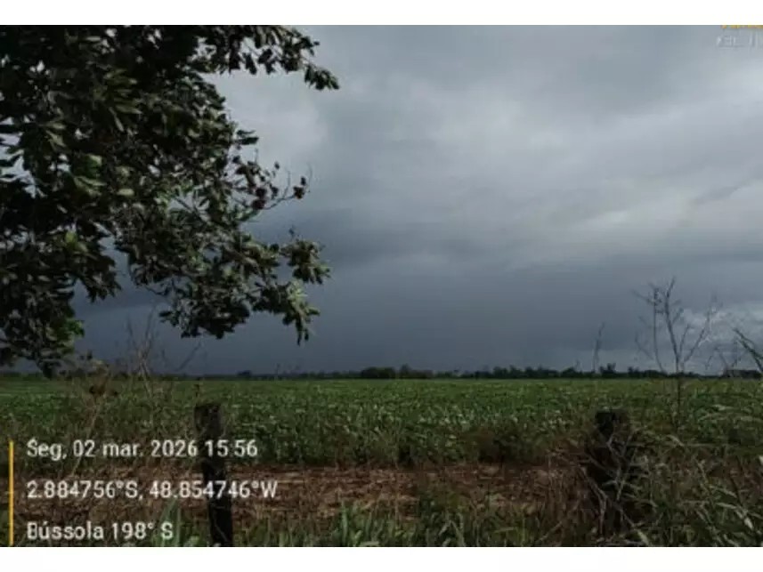 Imagem 12 - Estrada Vicinal da Nove Nova, s/n - Zona Rural - Tailândia / PA