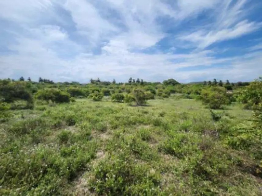 Imagem 11 - Estrada Vicinal, s/n - Lote K, Loteamento Jardim Recreio Santa Maria - Santa Maria - Aracaju / SE