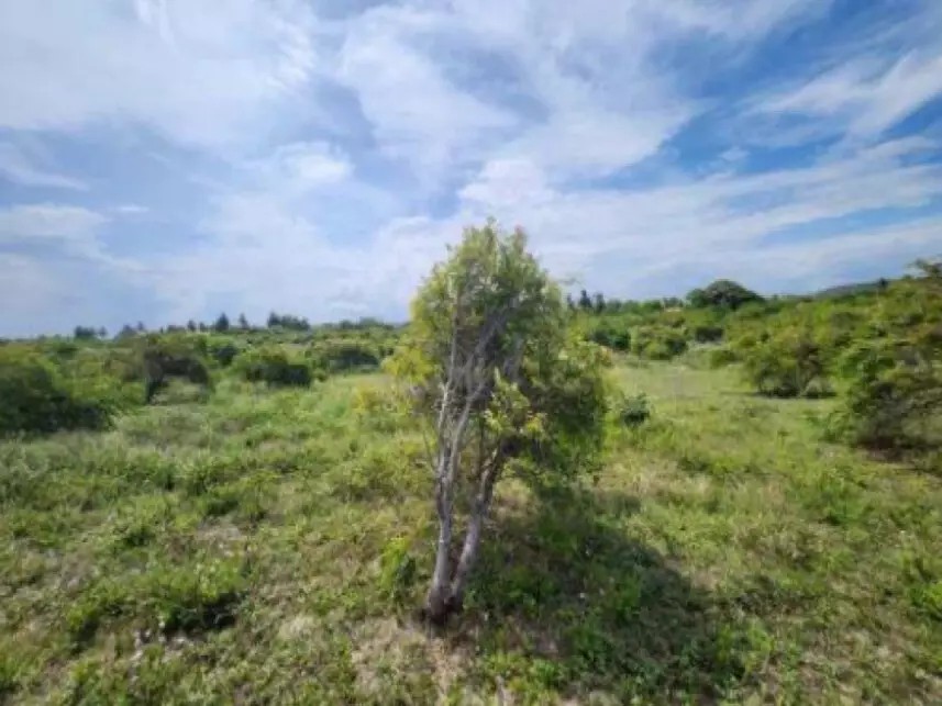 Imagem 12 - Estrada Vicinal, s/n - Lote K, Loteamento Jardim Recreio Santa Maria - Santa Maria - Aracaju / SE