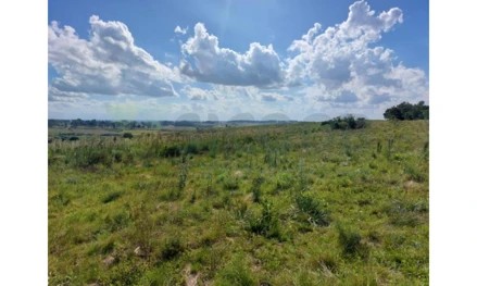 Imagem 2 - estratégica: apenas 3,5 km da BR-392 e 6 km do centro comercial e administrativo de São Sepé/RS