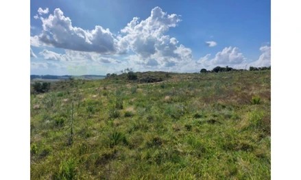 Imagem 3 - estratégica: apenas 3,5 km da BR-392 e 6 km do centro comercial e administrativo de São Sepé/RS