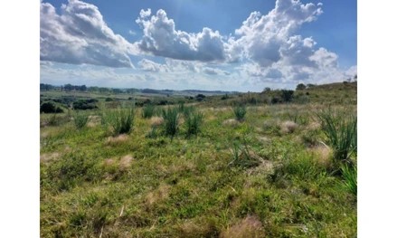 Imagem 4 - estratégica: apenas 3,5 km da BR-392 e 6 km do centro comercial e administrativo de São Sepé/RS