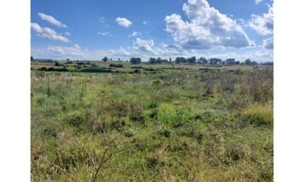 Imagem 5 - estratégica: apenas 3,5 km da BR-392 e 6 km do centro comercial e administrativo de São Sepé/RS
