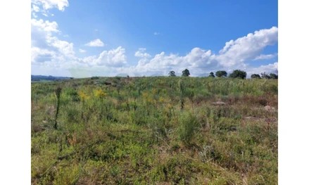 Imagem 6 - estratégica: apenas 3,5 km da BR-392 e 6 km do centro comercial e administrativo de São Sepé/RS