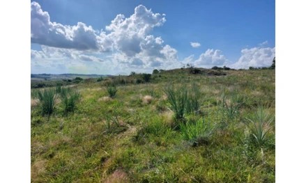 Imagem 8 - estratégica: apenas 3,5 km da BR-392 e 6 km do centro comercial e administrativo de São Sepé/RS