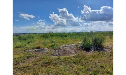 Imagem 9 - estratégica: apenas 3,5 km da BR-392 e 6 km do centro comercial e administrativo de São Sepé/RS