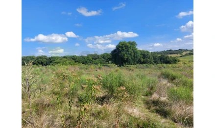 Imagem 10 - estratégica: apenas 3,5 km da BR-392 e 6 km do centro comercial e administrativo de São Sepé/RS