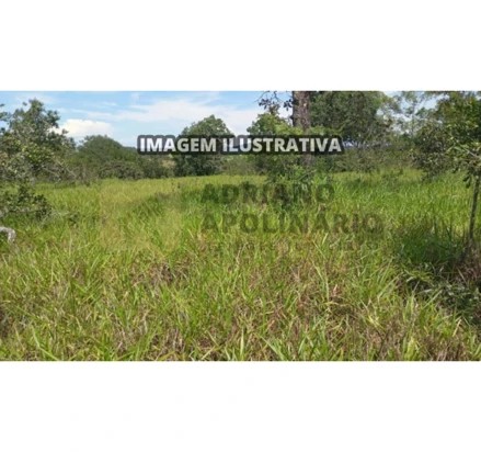 Imagem da oportunidade