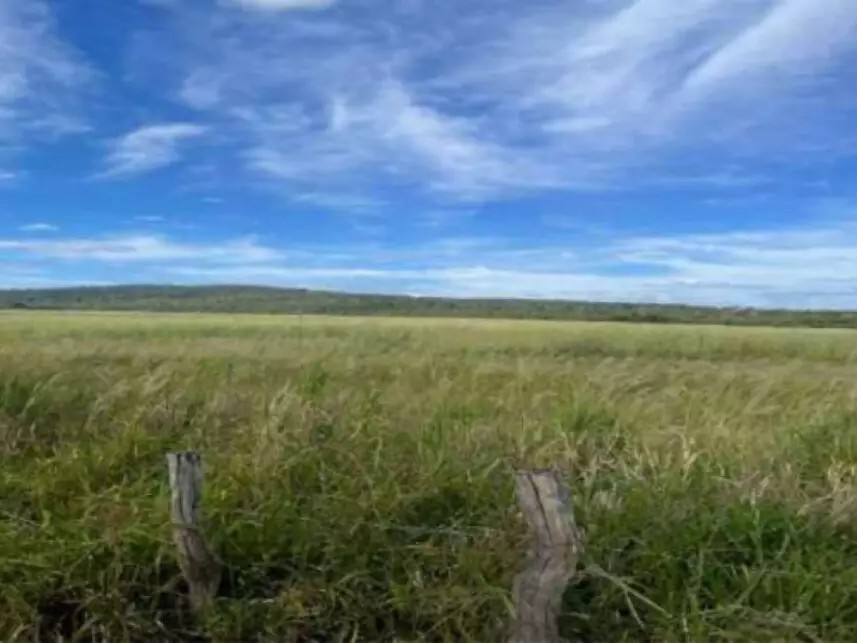 Imagem da oportunidade