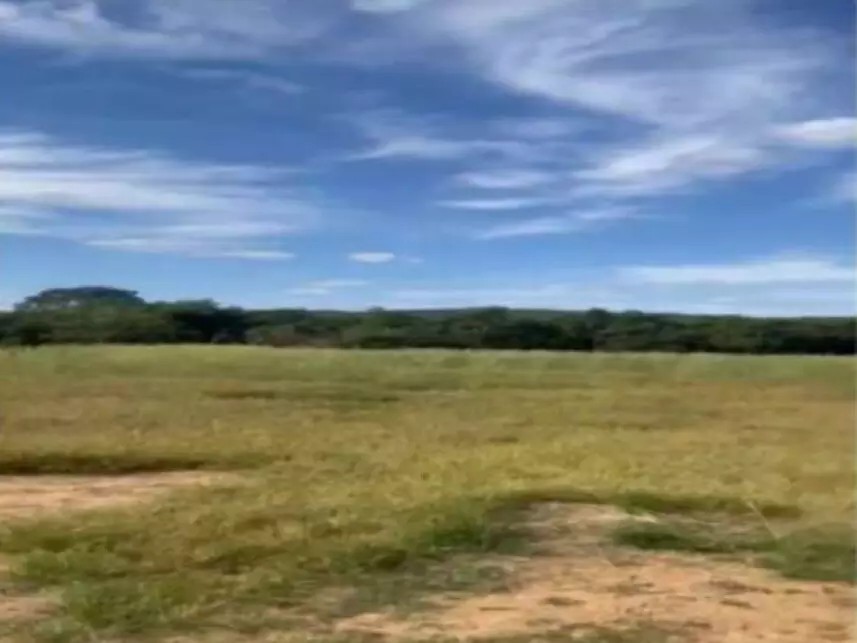 Imagem 2 - Fazenda Bagre, s/n - Zona Rural - Caldas Novas / GO