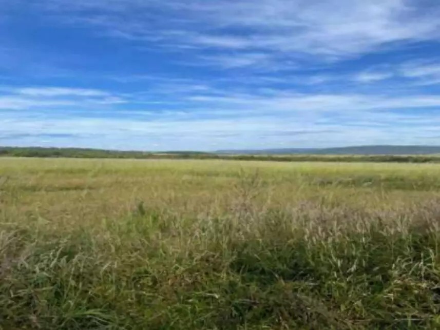 Imagem 3 - Fazenda Bagre, s/n - Zona Rural - Caldas Novas / GO