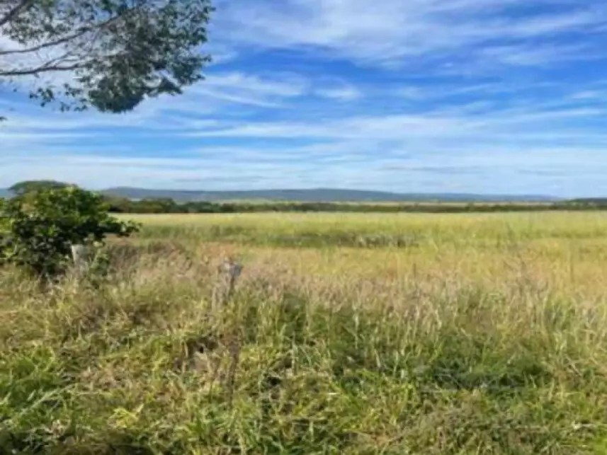 Imagem 4 - Fazenda Bagre, s/n - Zona Rural - Caldas Novas / GO