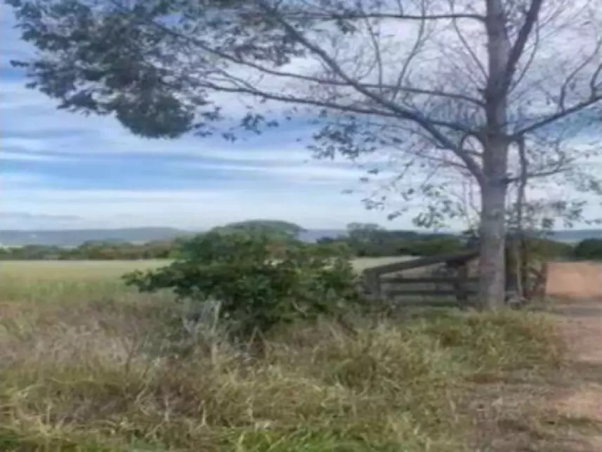 Imagem 5 - Fazenda Bagre, s/n - Zona Rural - Caldas Novas / GO