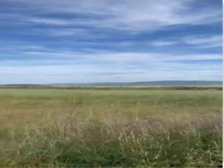 Imagem 6 - Fazenda Bagre, s/n - Zona Rural - Caldas Novas / GO