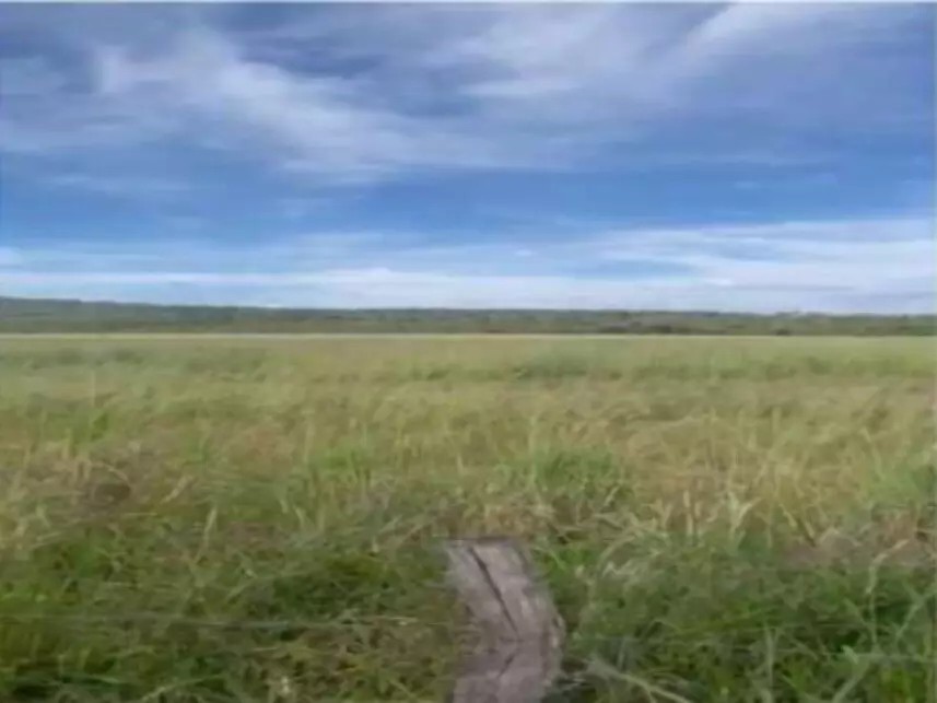 Imagem 7 - Fazenda Bagre, s/n - Zona Rural - Caldas Novas / GO