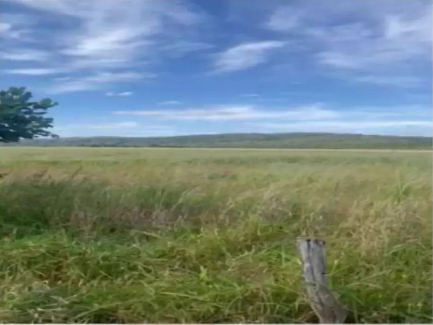 Imagem 8 - Fazenda Bagre, s/n - Zona Rural - Caldas Novas / GO