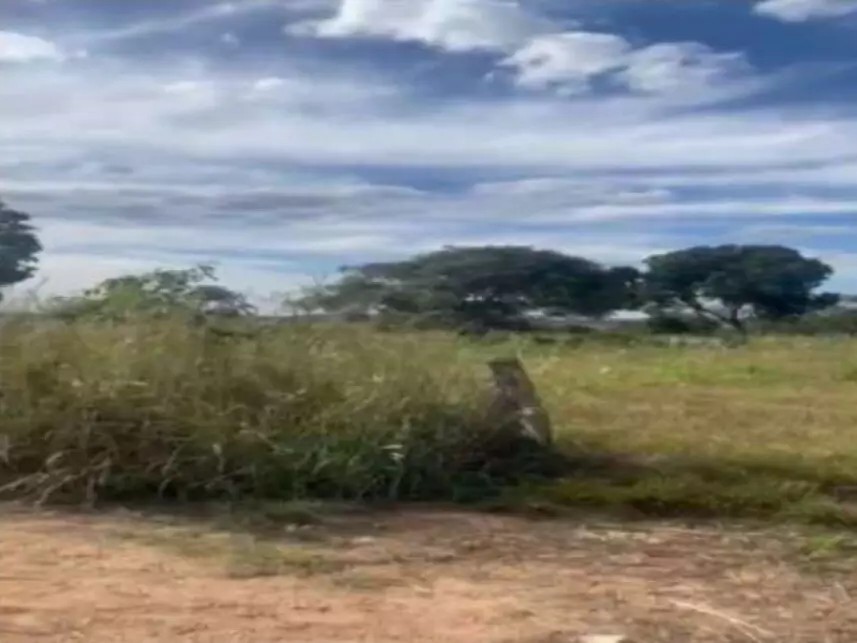 Imagem 9 - Fazenda Bagre, s/n - Zona Rural - Caldas Novas / GO