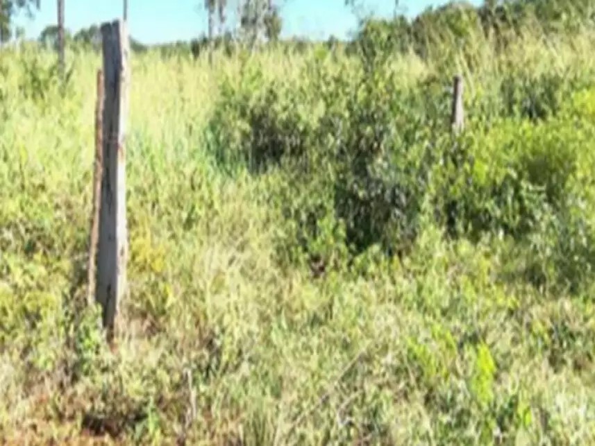 Imagem da oportunidade