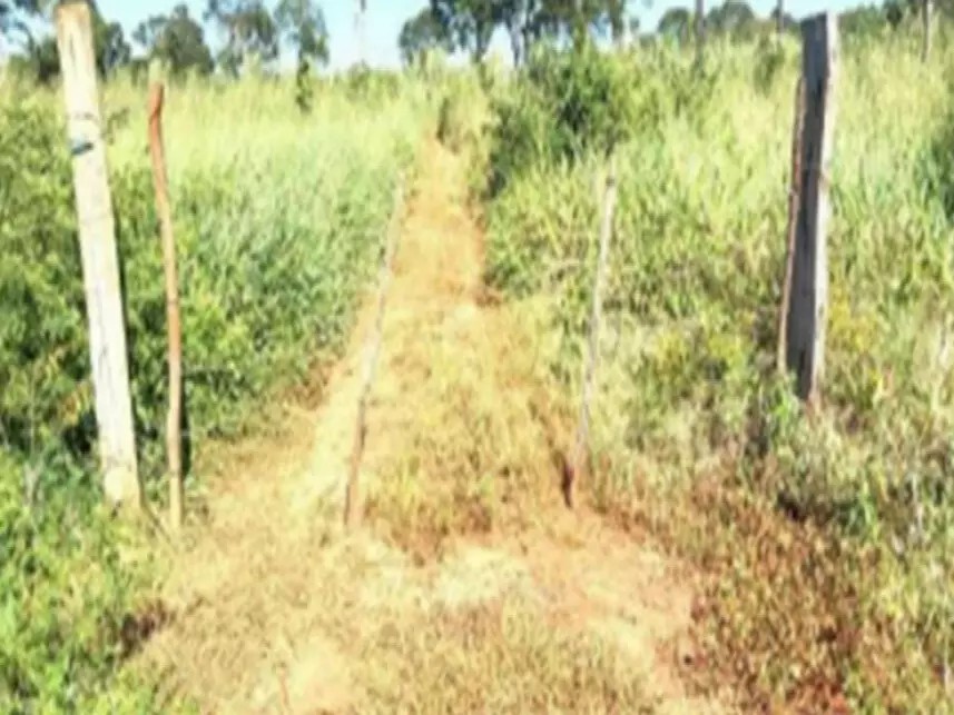 Imagem 2 - Fazenda Caraça, s/n - Zona Rural - Estreito / MA
