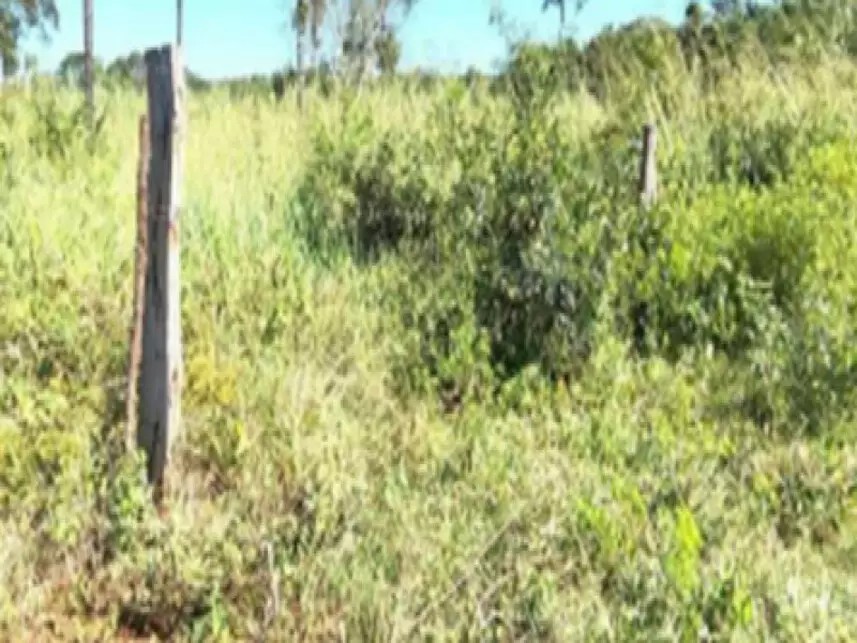 Imagem 5 - Fazenda Caraça, s/n - Zona Rural - Estreito / MA