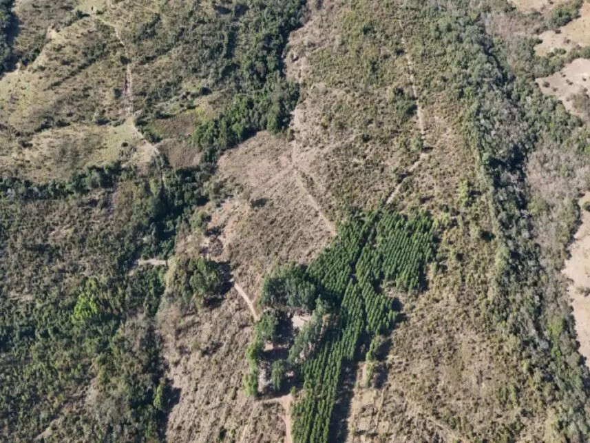 Imagem 3 - Fazenda Esperança Ii, s/nº - Zona Rural - Luziânia / GO